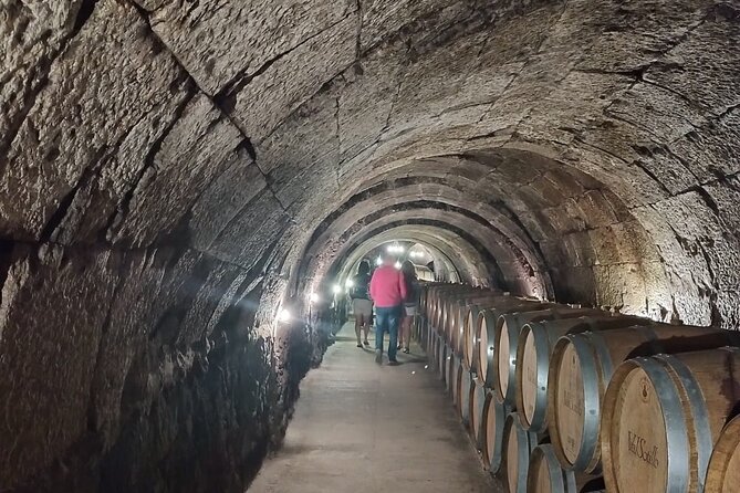 Private Wine Tasting And Visit Tour in Ribera Duero - Guides, service, and the human side of the day