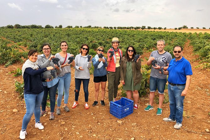 Private Winery Tour near Madrid with Sommelier (6-hour) - Leaving Madrid for Belmonte de Tajo