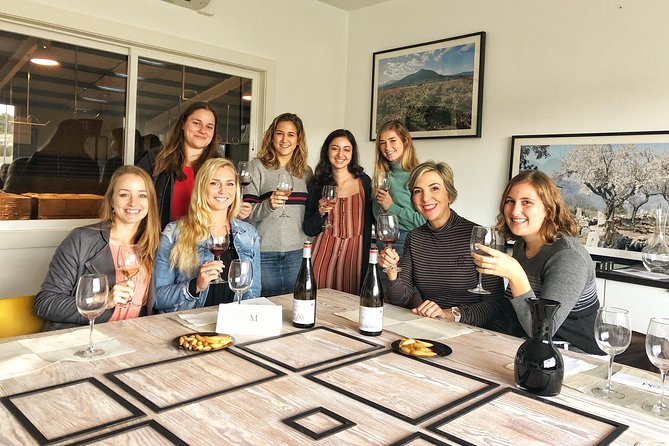 Private Winery Tour near Madrid with Sommelier (6-hour) - What the wine lesson is really like