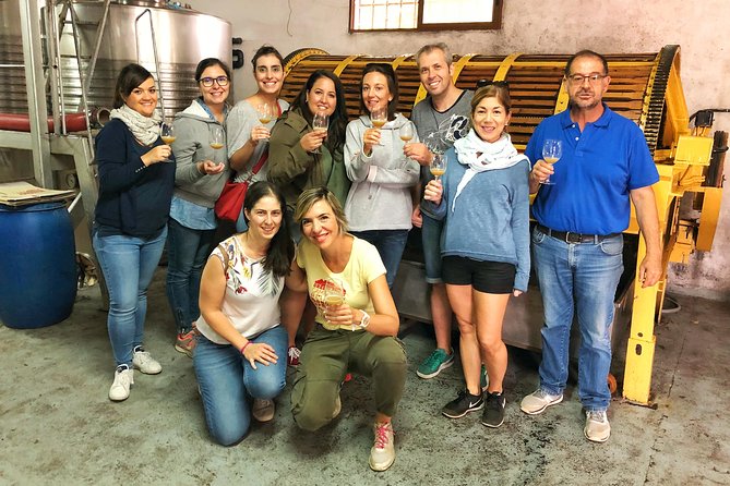 Private Winery Tour near Madrid with Sommelier (6-hour) - Understanding the $495 price