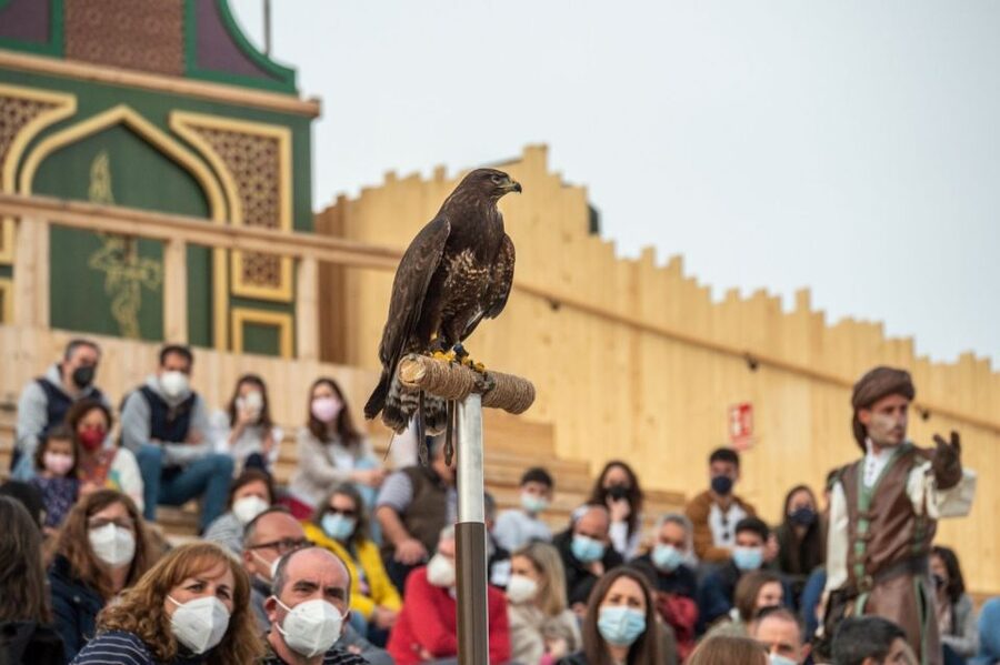 Puy du Fou España Entry Ticket - Cetrería de Reyes, an aerial contest without weapons