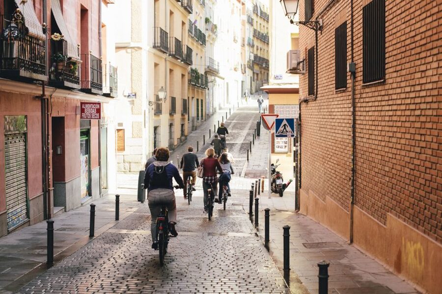 Rent a Bike in Madrid -Free phone holder and selfguided tour - Retiro Park, a slower part of the day