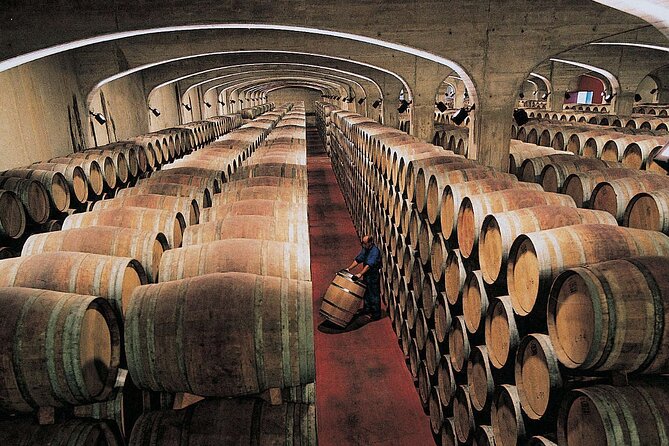 Ribera and Rioja Wineries Private Tour from Madrid - Your first look at Ribera del Duero