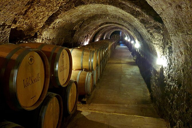 Ribera del Duero:4 Wineries, tasting & Lunch included from Madrid - Four wineries, four different angles on wine
