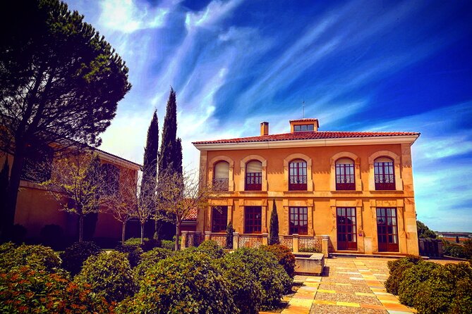 Ribera del Duero:4 Wineries, tasting & Lunch included from Madrid - The guide can make or break the day