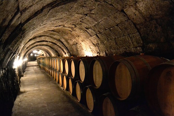 Ribera del Duero Small Group Tour: Tapas & Wine Tasting - Leaving Madrid for Ribera del Duero