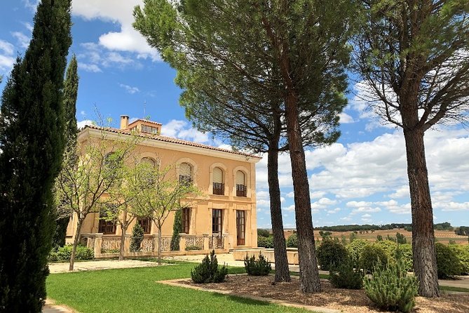 Ribera del Duero Small Group Tour: Tapas & Wine Tasting - What the guide adds to the day