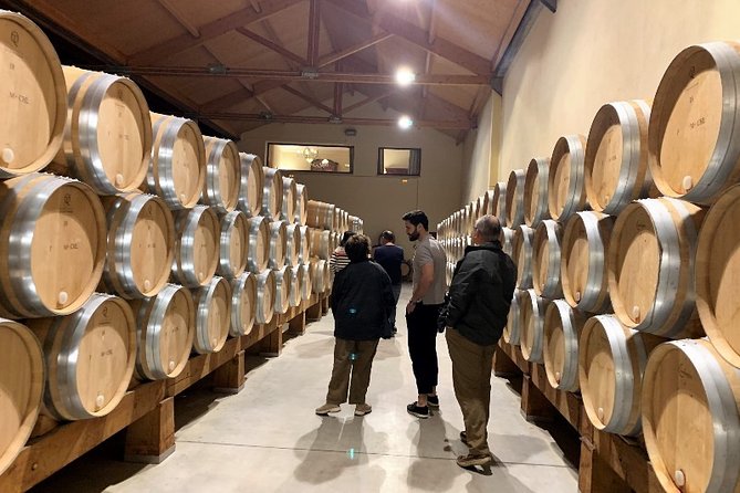 Ribera del Duero Small Group Tour: Tapas & Wine Tasting - Barrel rooms, caves, and working wine production