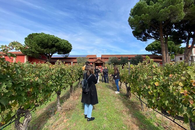 Ribera del Duero Tour: Three Wineries and Lunch from Madrid - Why Ribera del Duero makes a worthwhile Madrid day trip