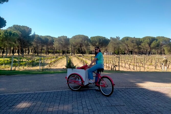 Ribera del Duero Tour: Three Wineries and Lunch from Madrid - A 7:30 am pickup keeps the day moving