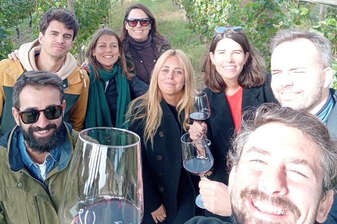 Ribera del Duero Tour: Three Wineries and Lunch from Madrid - Third winery: an independent producer’s point of view