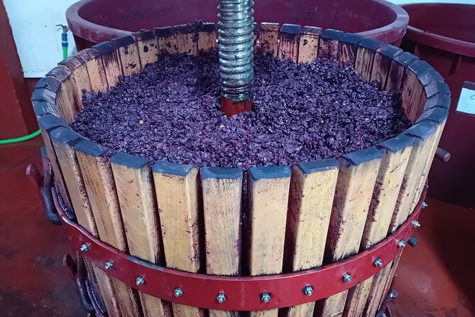 Ribera del Duero Tour: Three Wineries and Lunch from Madrid - The $475.89 price: where the value sits