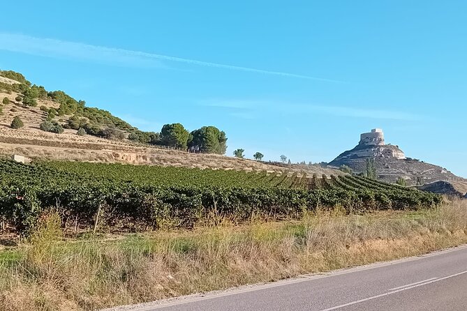 Ribera del Duero Tour: Three Wineries and Lunch from Madrid - Who should book this Ribera del Duero outing
