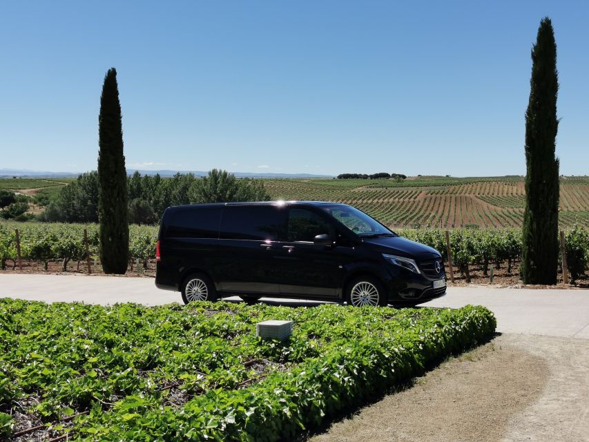 Ribera del Duero wine region private tour - Why Ribera del Duero Makes a Strong Day Trip