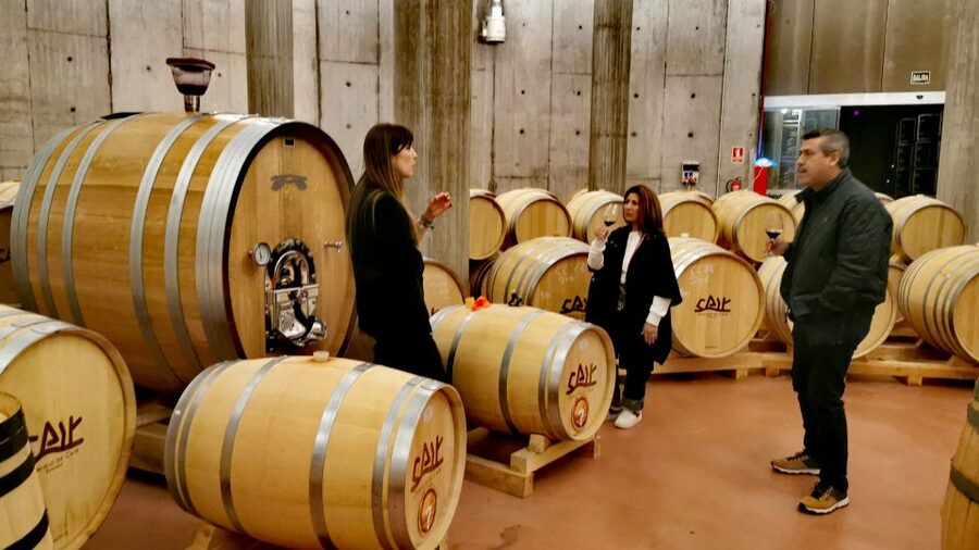 Ribera del Duero wine region private tour - Who Will Enjoy This Most?