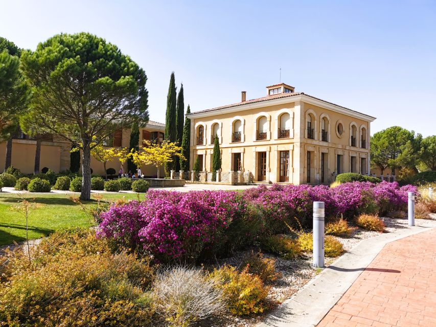 Ribera del Duero wine region private tour - The 105-Minute Ride From Madrid