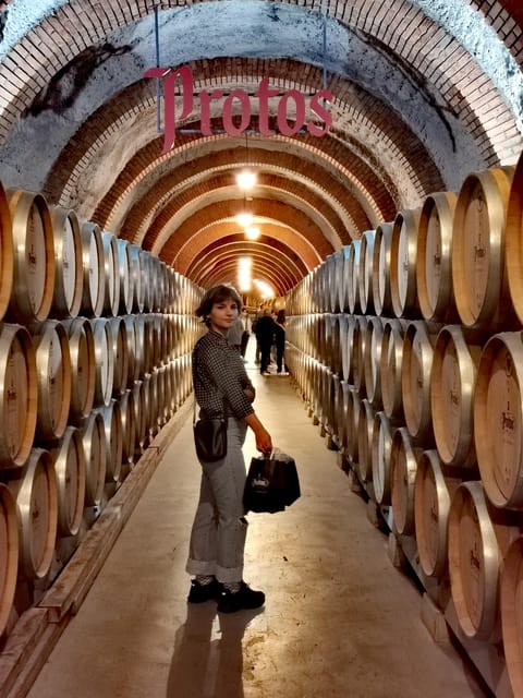 Ribera del Duero wine region private tour - Second Stop: A 16th-Century Family Cellar
