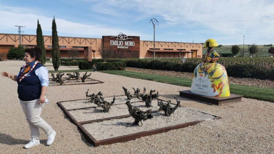 Ribera del Duero wine region private tour - The Important Winery-Photo Warning