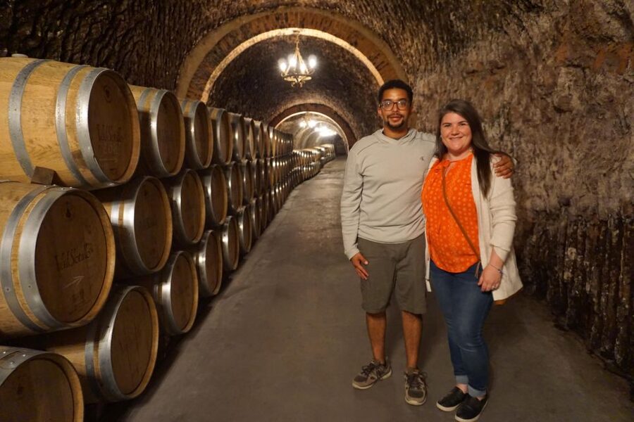Ribera del Duero wine region private tour - Is $412 Per Person Fair?