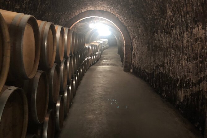 Ribera del Duero Wine Tour: Two Wineries and Tasting - Key points at a glance