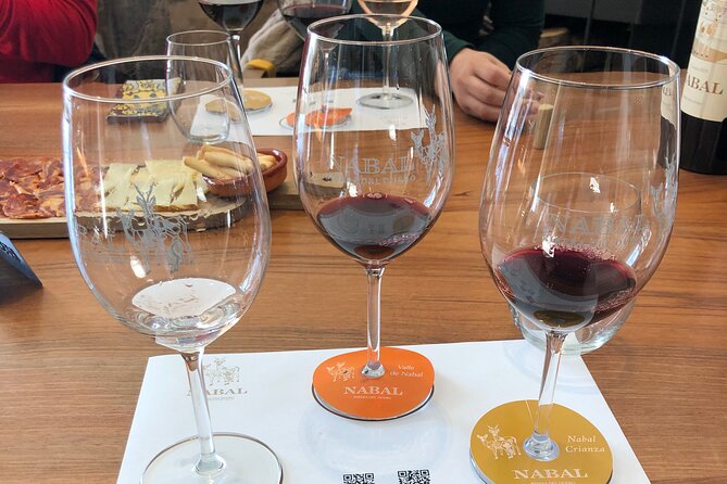 Ribera del Duero Wine Tour: Two Wineries and Tasting - Six tastings, snacks, and the pace of the day