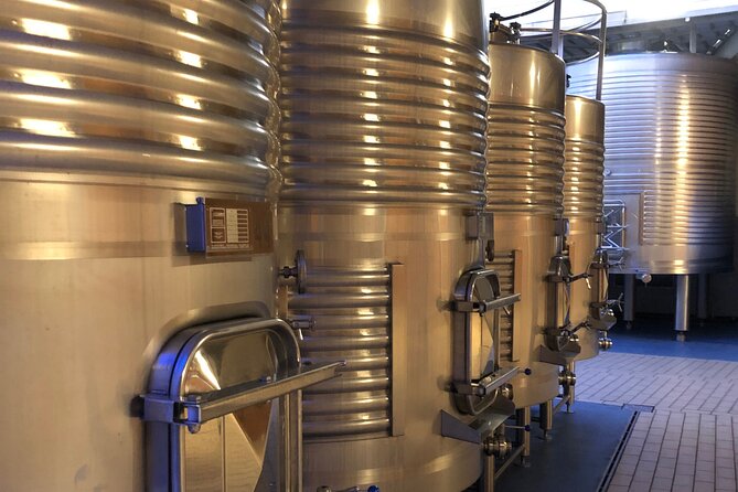 Ribera del Duero Wine Tour: Two Wineries and Tasting - What the $300.40 price really buys