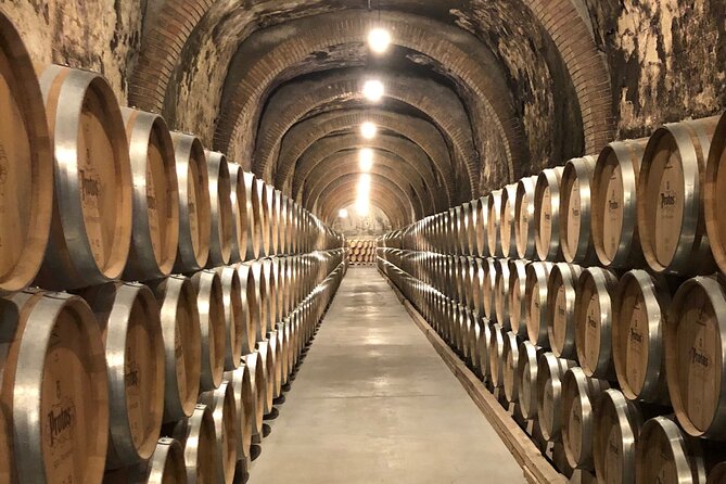 Ribera del Duero Wine Tour: Two Wineries and Tasting - Bodegas Nabal and the guardaviña