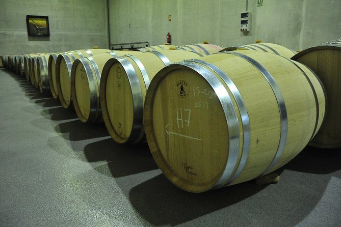 Ribera del Duero Wineries Guided Tour & Wine Tasting from Madrid - The long drive into wine country