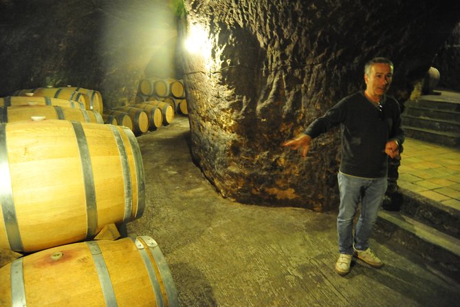 Ribera del Duero Wineries Guided Tour & Wine Tasting from Madrid - First winery: from grape to bottle