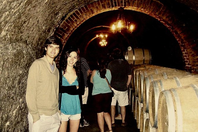 Ribera del Duero Winery Guided Tour and Wine Tasting from Madrid - Why Ribera del Duero makes a good day trip from Madrid