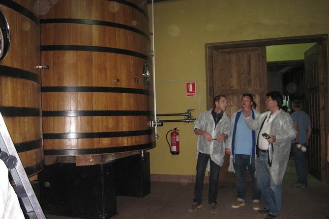 Ribera del Duero Winery Guided Tour and Wine Tasting from Madrid - First winery: learning the shape of Ribera wine