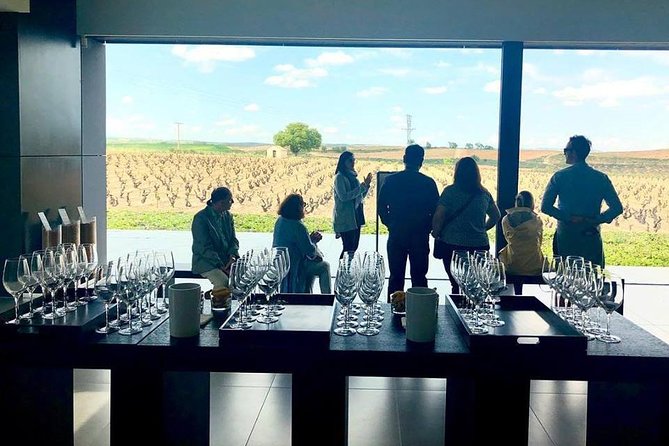 Ribera del Duero Winery Guided Tour and Wine Tasting from Madrid - Lunch in Castile and León, at your own cost