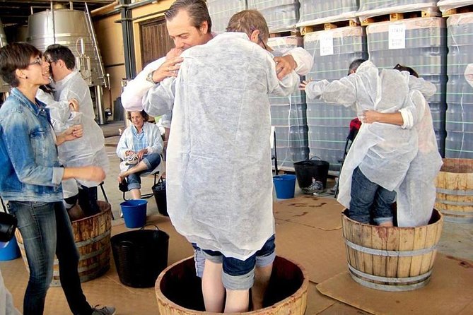 Ribera del Duero Winery Guided Tour and Wine Tasting from Madrid - What the small group means in practice