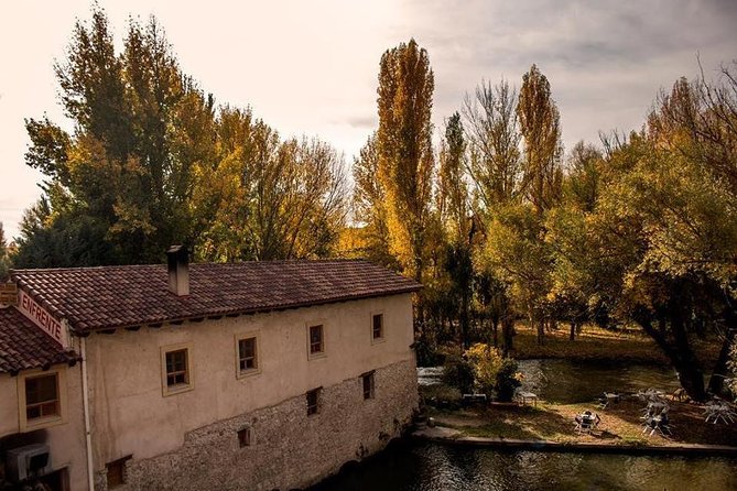 Ribera del Duero Winery Guided Tour and Wine Tasting from Madrid - Is $191.87 a fair price?