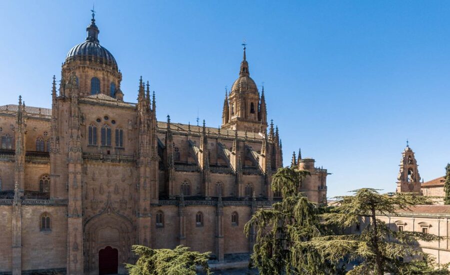 Salamanca: Cathedral of Salamanca Ticket with Audio Guide - Two cathedrals, one powerful first impression