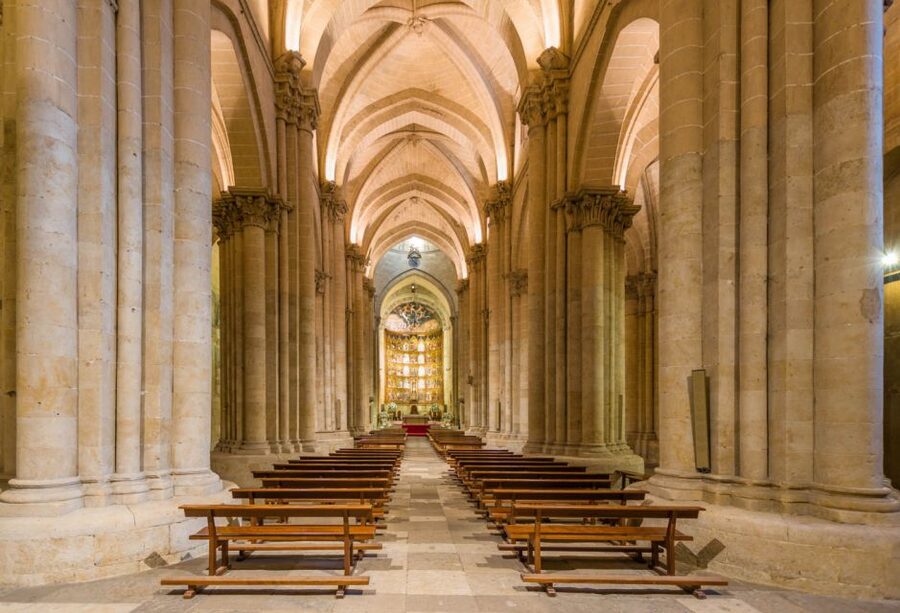 Salamanca: Cathedral of Salamanca Ticket with Audio Guide - Cloister and chapter halls