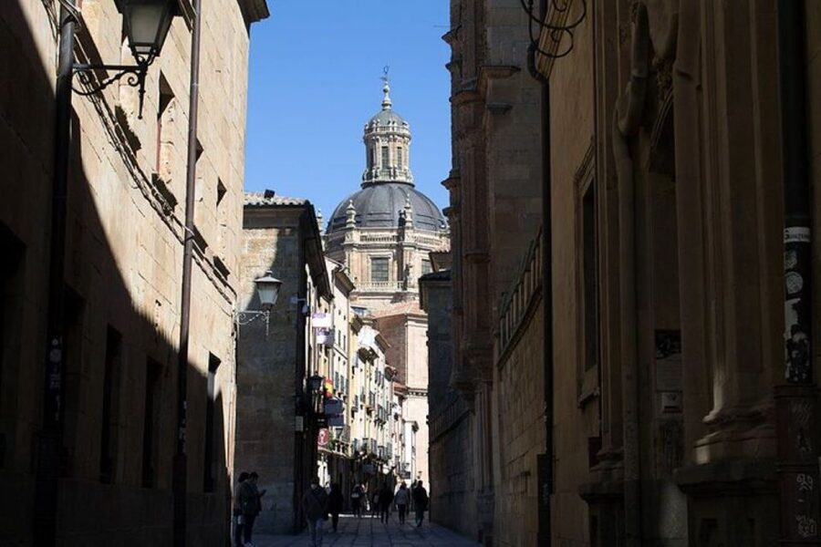 Salamanca: Guided Sightseeing Tour by Bicycle - Monterrey Palace and Salamanca’s sandstone style