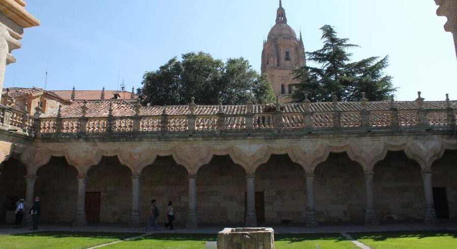 Salamanca: Monuments and Landmarks Guided Walking Tour - Why this is a smart first look at Salamanca