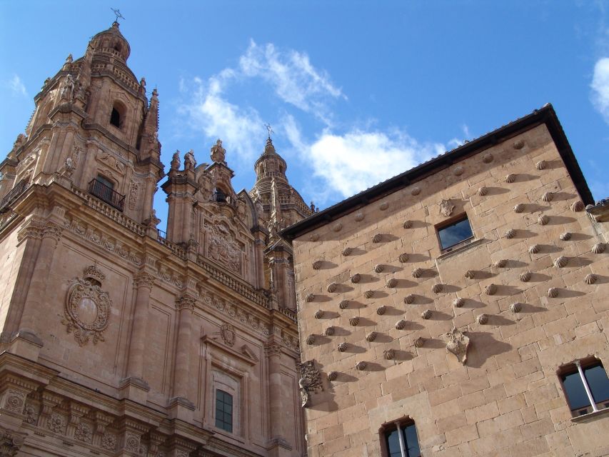Salamanca: Private Guided Customizable Walking Tour - Casa de las Conchas and the university quarter