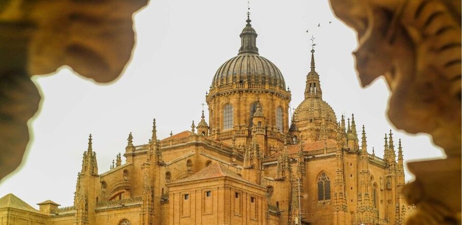 Salamanca: Private Guided Customizable Walking Tour - The cathedral area, from outside views to tower choices