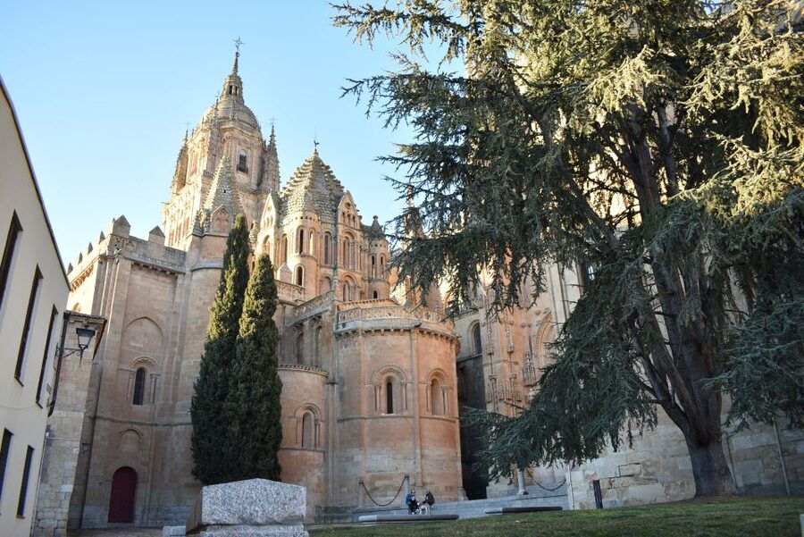 Salamanca: Private Sightseeing & Cultural Walking Tour - Why Salamanca works so well on foot