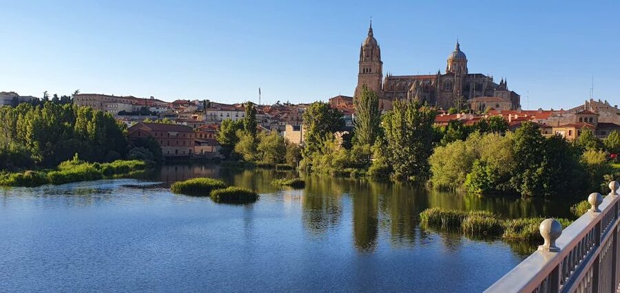 Salamanca: Private tour of the most important sites - Key points to know before you book