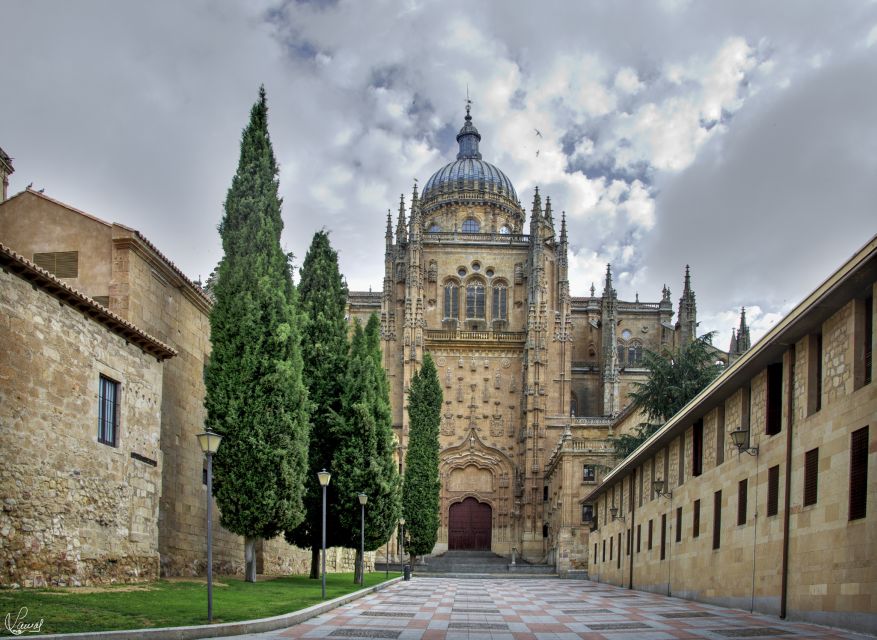 Salamanca: Private tour of the most important sites - Why a short private walk works well in Salamanca