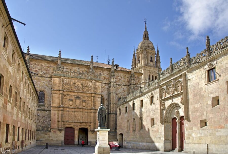 Salamanca: Private tour of the most important sites - Salamanca’s old center, seen at walking pace