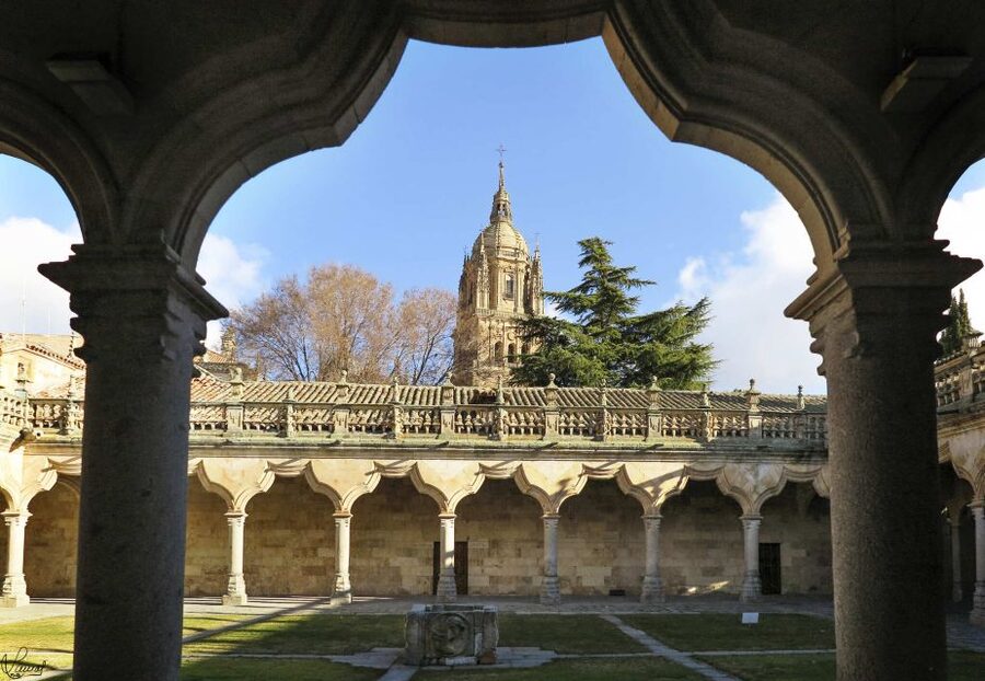 Salamanca: Private tour of the most important sites - Starting at your hotel or Plaza Mayor