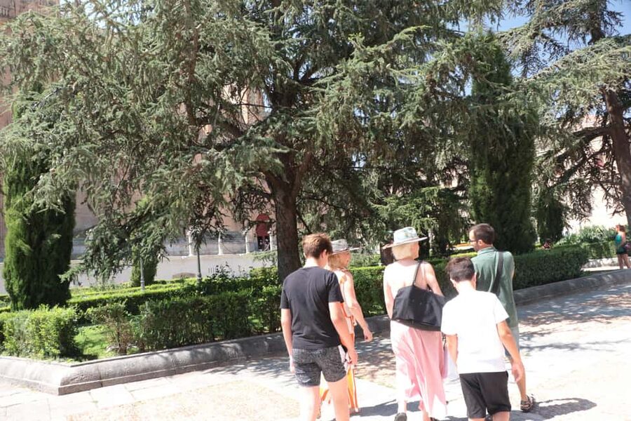Salamanca: Private Tour with a Local - What the first two hours can give you