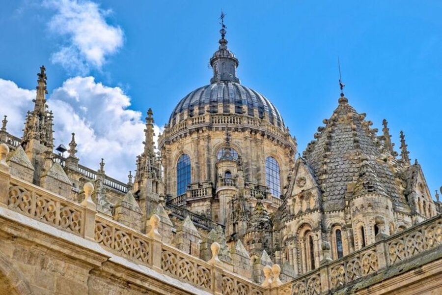 Salamanca: Private Walking Tour with a Local Guide - Why Salamanca Makes Sense With a Local Guide