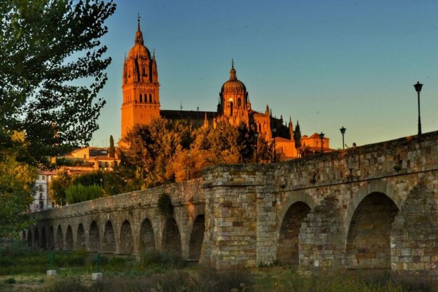 Salamanca: Private Walking Tour with a Local Guide - The Cathedrals: Two Major Stops, Not Just One