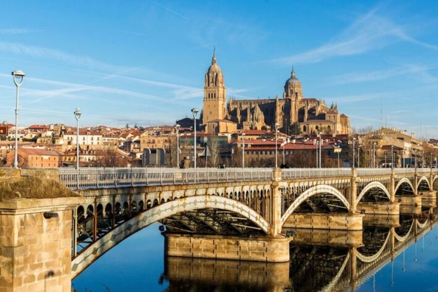 Salamanca: Private Walking Tour with a Local Guide - Plaza Mayor: A Natural Finish