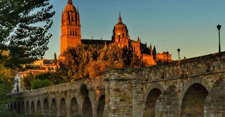 Salamanca: Private Walking Tour with a Local Guide - The University: Salamanca’s Academic Heart